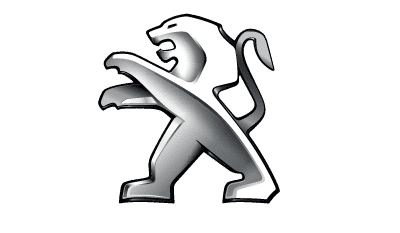 Resortes maletero portabicicletas Peugeot